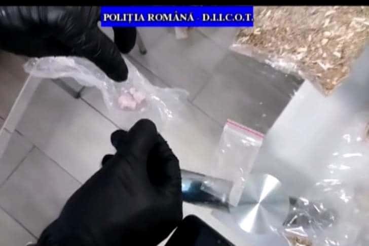 Zeci de prahoveni, audiați pentru trafic și consum de etnobotanice