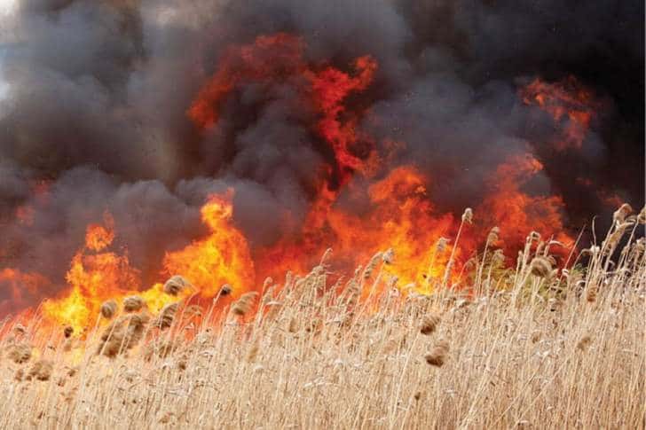 Pompierii se luptă din nou cu incendiile de vegetație! Ce amenzi riscă persoanele care le provoacă