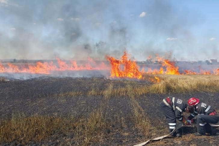 Incendiu de proporții pe 20 de hectare de teren, la Bărcănești