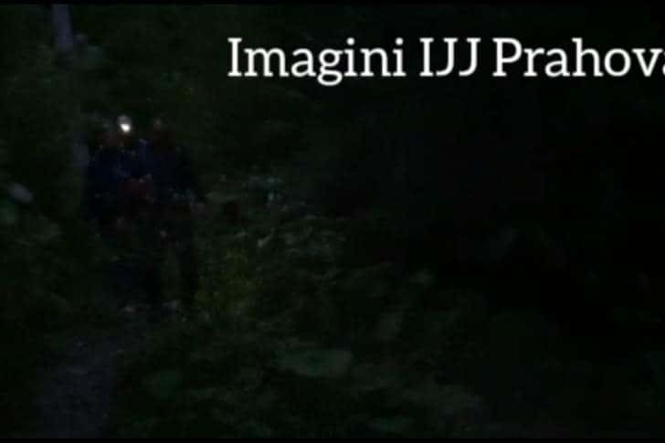 Trei bucureșteni speriați de un urs pe Jepii Mici, coborâți de pe munte de jandarmii montani