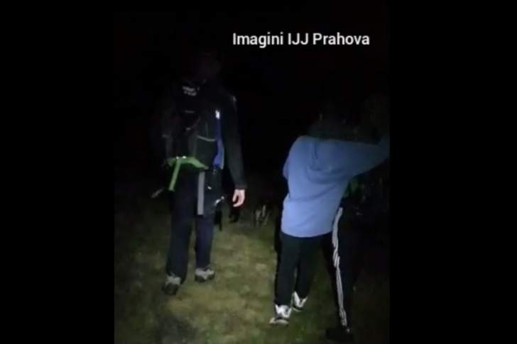 Amenințarea urșilor, dublată, pe trasele din Bucegi, de câinii hoinari sau de la stâne!
