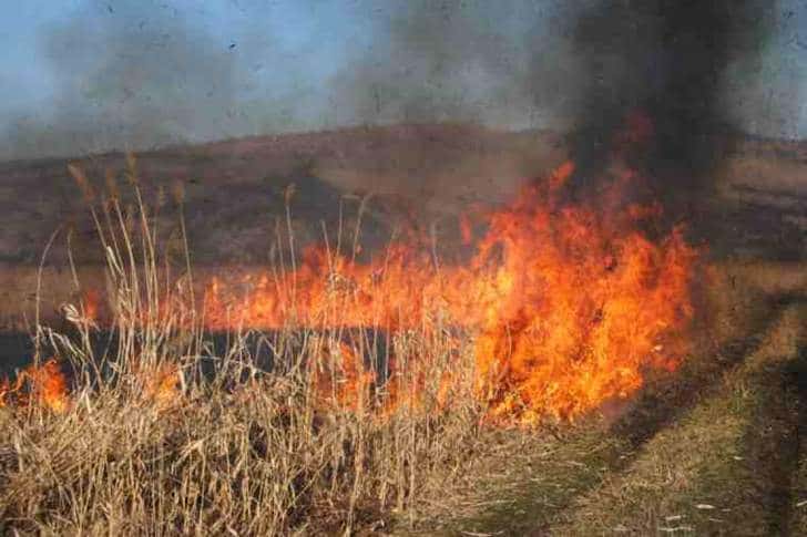 Un bărbat din Vărbilău, prins în mijlocul unui incendiu de vegetație