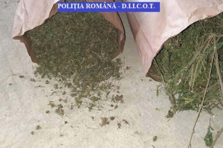 Percheziții în comuna prahoveană Ștefești, la persoane bănuite de trafic de droguri de risc