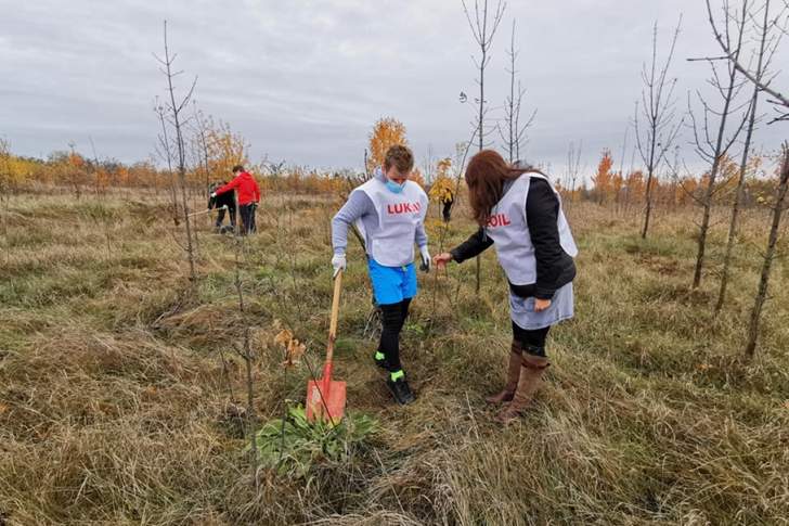 Angajați ai Rafinăriei LuKOil au plantat copaci în zona fostei gropi de gunoi a Ploieștiului. E de ajuns?