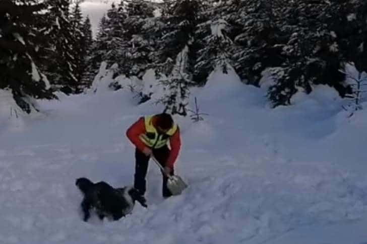 Sergiu și Carp se pregătesc zi de zi pentru a salva persoanele surprinse de avalanșe!