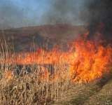 Incendii de vegetație uscată pe zeci de hectare de teren, în Prahova
