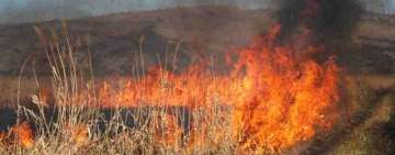 Incendii de vegetație uscată pe zeci de hectare de teren, în Prahova