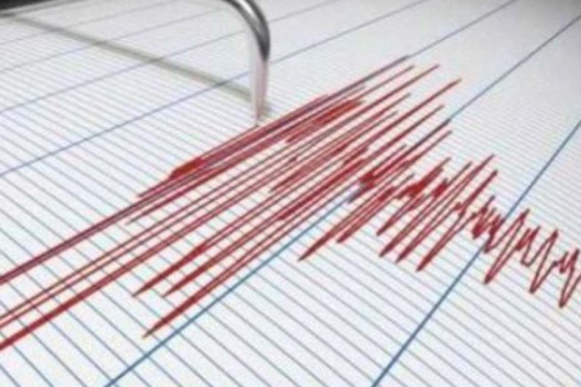 Două cutremure au avut loc azi-noapte în Vrancea