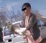 Un tânăr din Ciorani care aruncă o pisică într-un lac, primul caz al Biroului pentru Protecția Animalelor Prahova