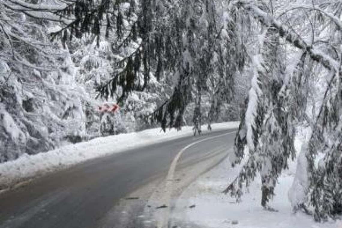 Trafic întrerupt pe DN1, la Azuga, pentru îndepărtarea unor copaci. Update: traficul a fost reluat!