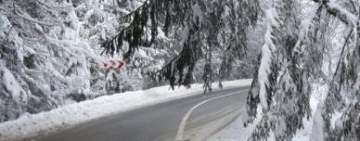 Trafic întrerupt pe DN1, la Azuga, pentru îndepărtarea unor copaci. Update: traficul a fost reluat!