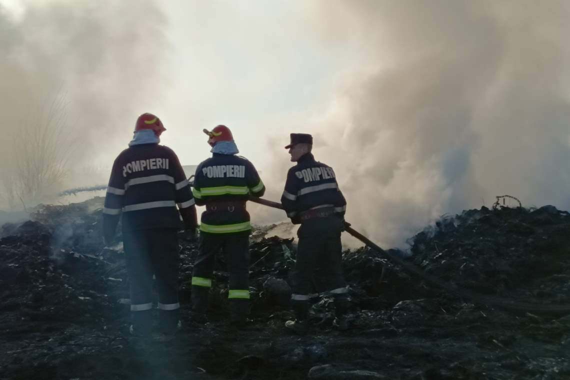 Incendiu la Bucov, pe un teren cu deșeuri 