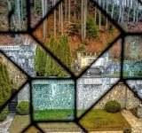 100 de brăduți vor fi plantați pe Domeniul Regal Peleș la 100 de ani de la nașterea Regelui Mihai
