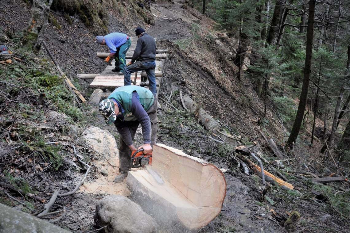 Traseul montan Bușteni - Cascada Urlătoarea, refăcut de silvicultori și salvamontiști