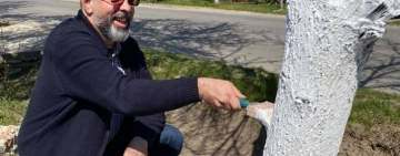 Amintiri din copilăria petrecută la Râfov, cu vicepreședintele Senatului, Robert Cazanciuc