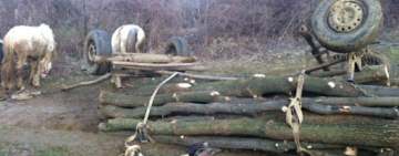 O femeie a fost rănită grav după un accident de căruță, în Lapoș