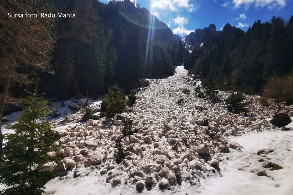 O avalanșă a măturat Valea Urzicii din Bucegi!