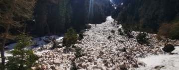 O avalanșă a măturat Valea Urzicii din Bucegi!