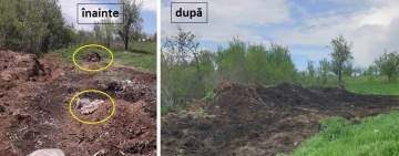 Cadavre de animale, lăsate la fezandat, la soare! Focar de infecție la Drajna!