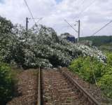 Poliția TF, despre incidentul de pe calea ferată Ploiești - Urziceni