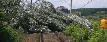 Poliția TF, despre incidentul de pe calea ferată Ploiești - Urziceni