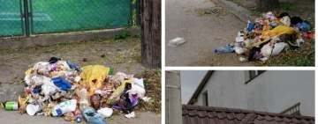 La Ploiești, nesimțirea, mizeria și infecția umană nu țin (doar) de operatorul de salubritate!