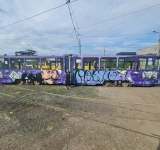 Tramvaie mov cu chipul lui Caragiale, pe străzile din Ploiești. Vă plac?
