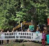 Dispută între Agent Green și Romsilva pentru o exploatare forestieră de la Bușteni