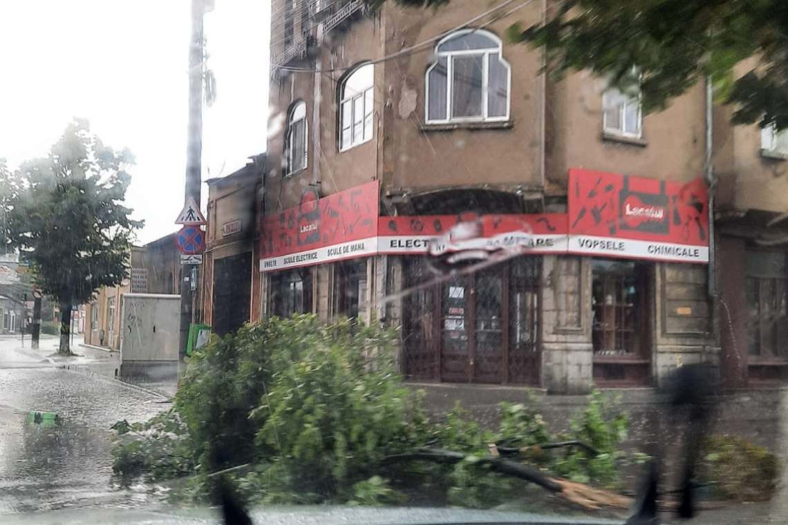 Vijelia a doborât mai mulți arbori și a smuls acoperișul unui bloc, în Ploiești