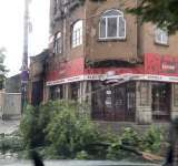 Vijelia a doborât mai mulți arbori și a smuls acoperișul unui bloc, în Ploiești