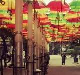 Alte sute de umbrele colorate, cumpărate de municipalitatea ploieșteană!