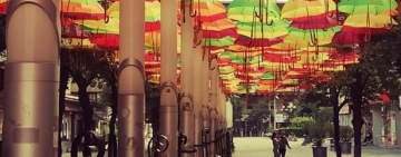 Alte sute de umbrele colorate, cumpărate de municipalitatea ploieșteană!
