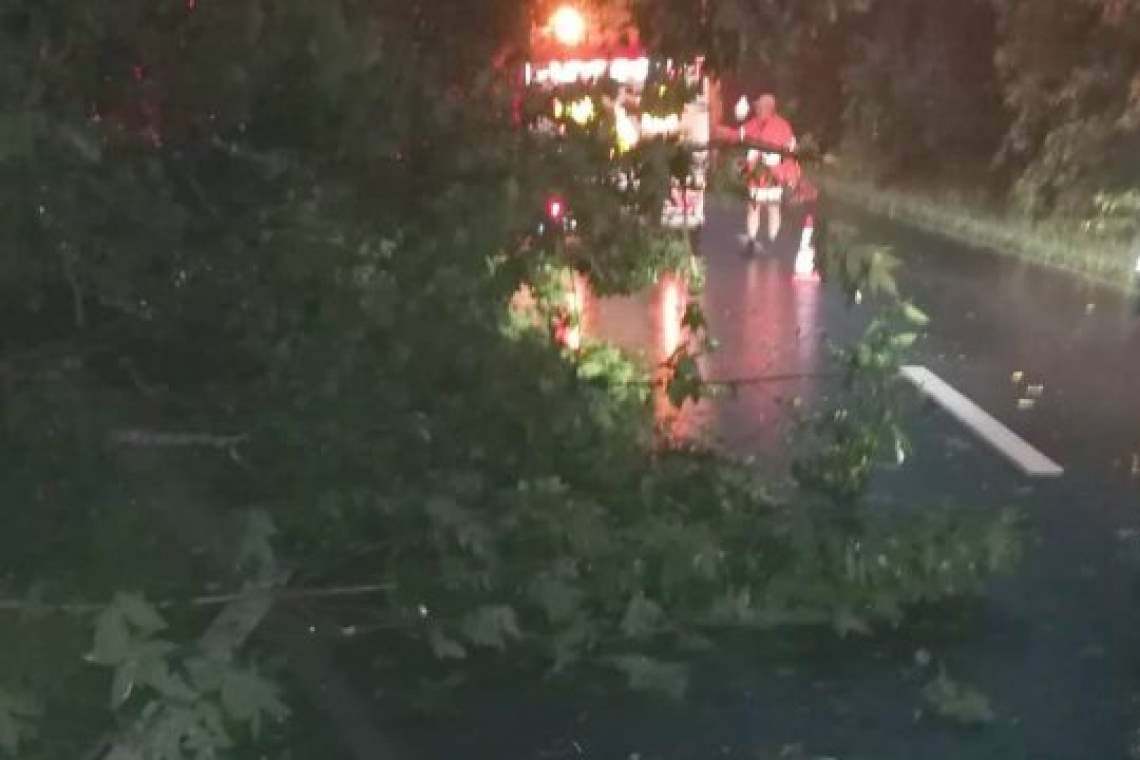 Copaci rupți și mii de prahoveni rămași fără curent electric, în urma furtunilor de azi-noapte