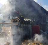 Doi cai și 10 porci, salvați dintr-un incendiu, la Lipănești