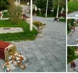 Dezastru în parcul central din Bușteni. Om sau urs? 