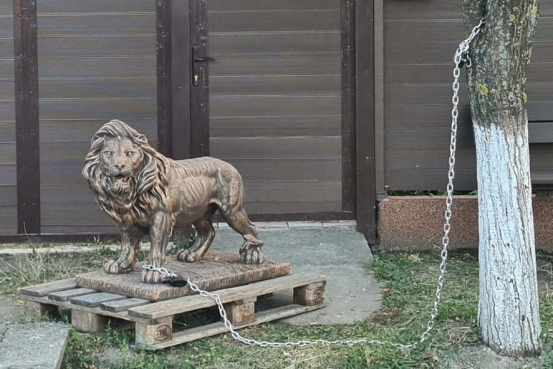 Un locuitor din Dumbrava a scos leul la poartă, să-l facă de rușine!