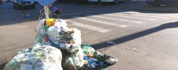 Cine este “Planeta Albastră”, firma care se va ocupa, temporar, de măturarea străzilor Ploieștiului