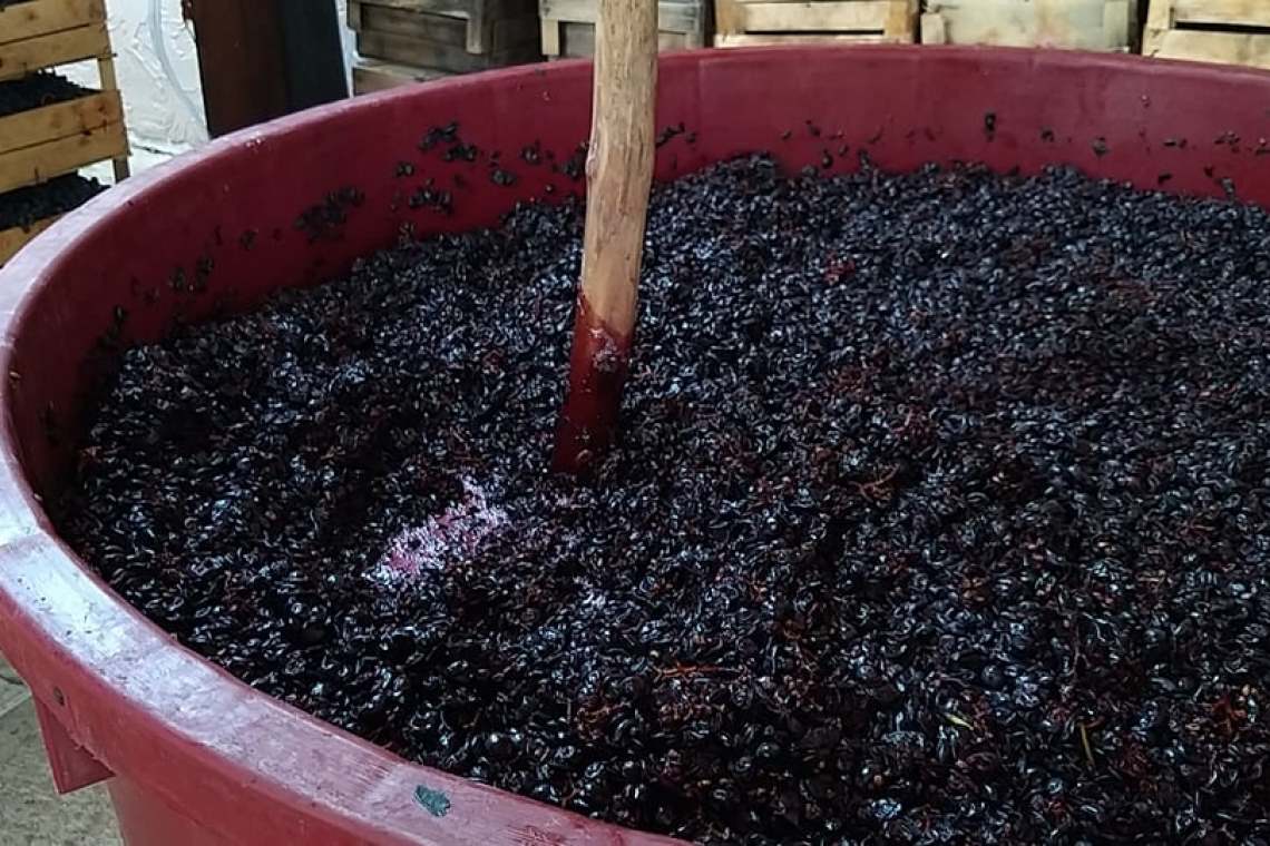 Dosar penal în cazul femeii decedate în beci, la Valea Călugărească