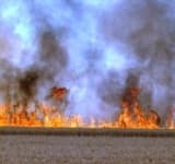 Incendii de vegetație uscată, la Nedelea și Mehedința. Pompierii intervin pentru stingerea flăcărilor