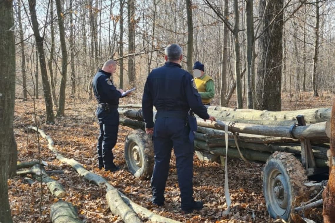 Pădurea din Plopeni, asaltată de drujbe, topoare și bătăuși!