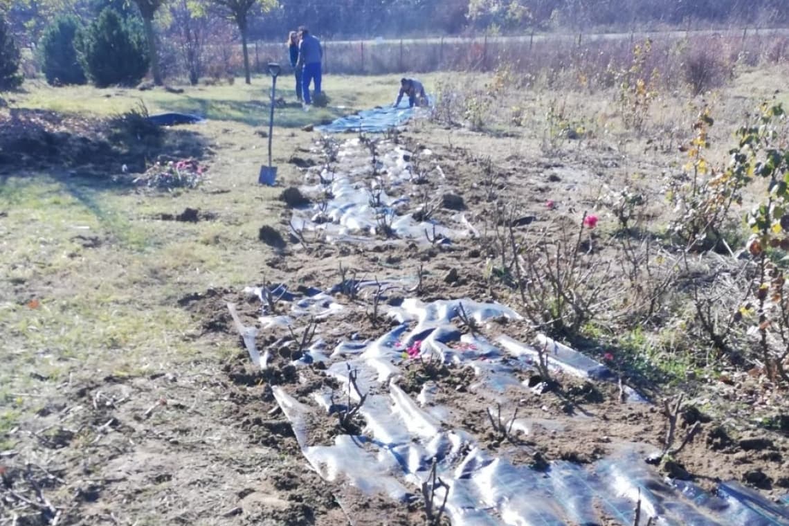 Noi atracții în pregătire, la Grădina Botanică Bucov!