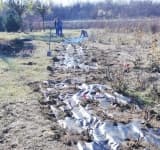 Noi atracții în pregătire, la Grădina Botanică Bucov!