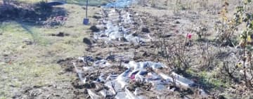 Noi atracții în pregătire, la Grădina Botanică Bucov!