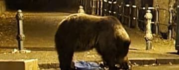 ISU Prahova, clarificări despre incidentul în care au fost implicați turiștii din Ucraina, la Sinaia