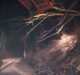 Un tren de călători a fost blocat două ore și jumătate, lângă Comarnic, din cauza unui arbore căzut pe firele de contact