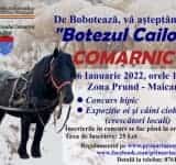 Botezul Cailor de la Comarnic, completat, anul acesta, cu expoziții de oi și câini de stână