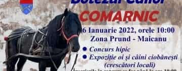 Botezul Cailor de la Comarnic, completat, anul acesta, cu expoziții de oi și câini de stână