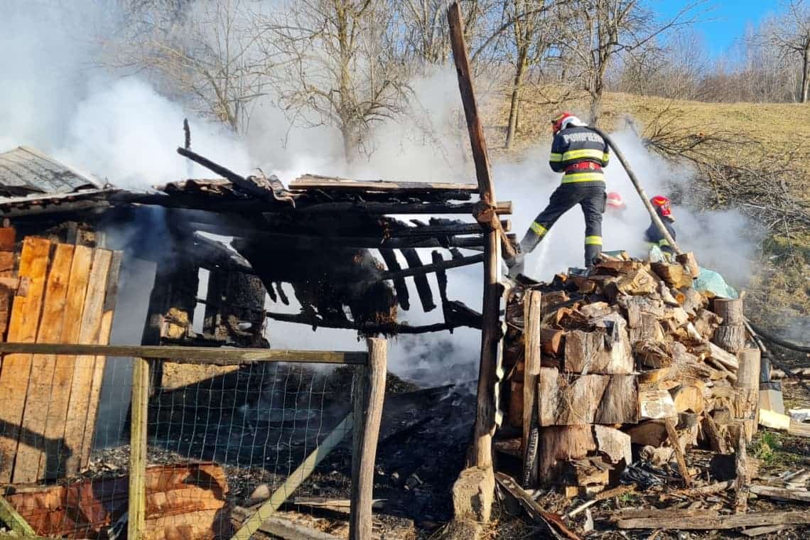 Șase oi și o vacă, salvate de pompieri dintr-un incendiu produs la Cărbunești