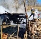 Șase oi și o vacă, salvate de pompieri dintr-un incendiu produs la Cărbunești