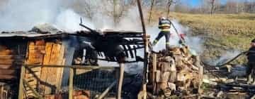 Șase oi și o vacă, salvate de pompieri dintr-un incendiu produs la Cărbunești